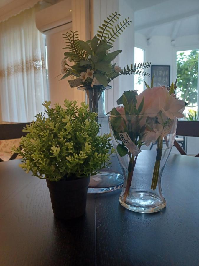 Apartmán Nuevo Loft El Carpintero Vejer de la Frontera Exteriér fotografie