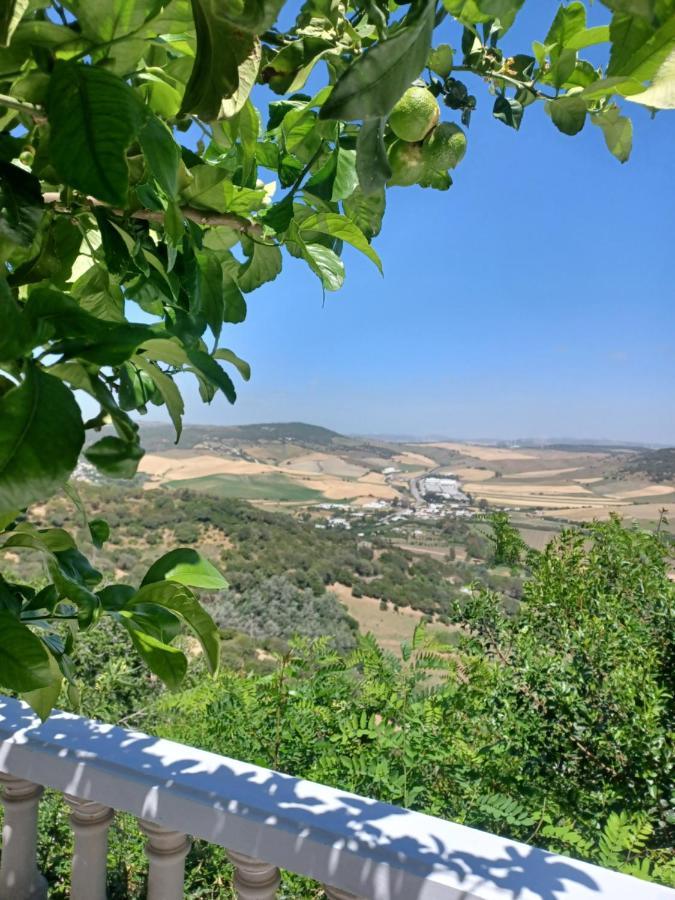 Apartmán Nuevo Loft El Carpintero Vejer de la Frontera Exteriér fotografie